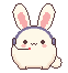 The bunny wearing a headset